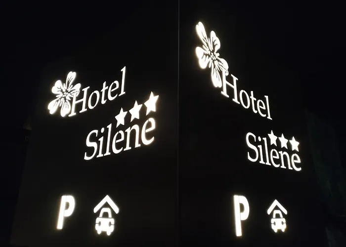 酒店 Silene Parking And Garage 3*