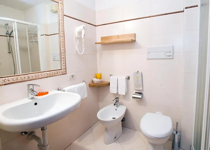 Silene Parking And Garage 3* 博尔米奥